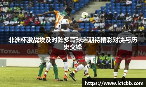 非洲杯激战埃及对阵多哥球迷期待精彩对决与历史交锋